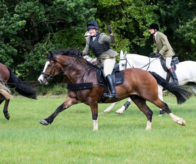 SMART™ Native GP saddle - sale