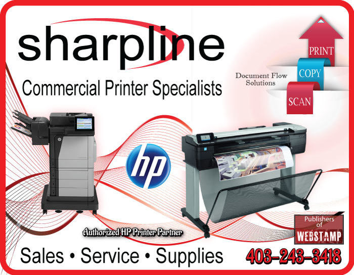 HP 746 Photo Black DesignJet 300-ml Ink Cartridge | Sharpline
