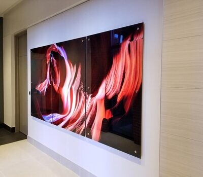 HP Self-Adhesive Media