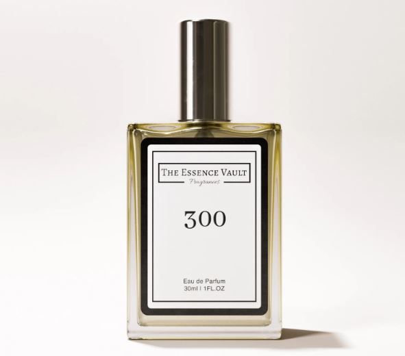 No. 300 Inspired by Silver Mountain Water for Him 100ml
