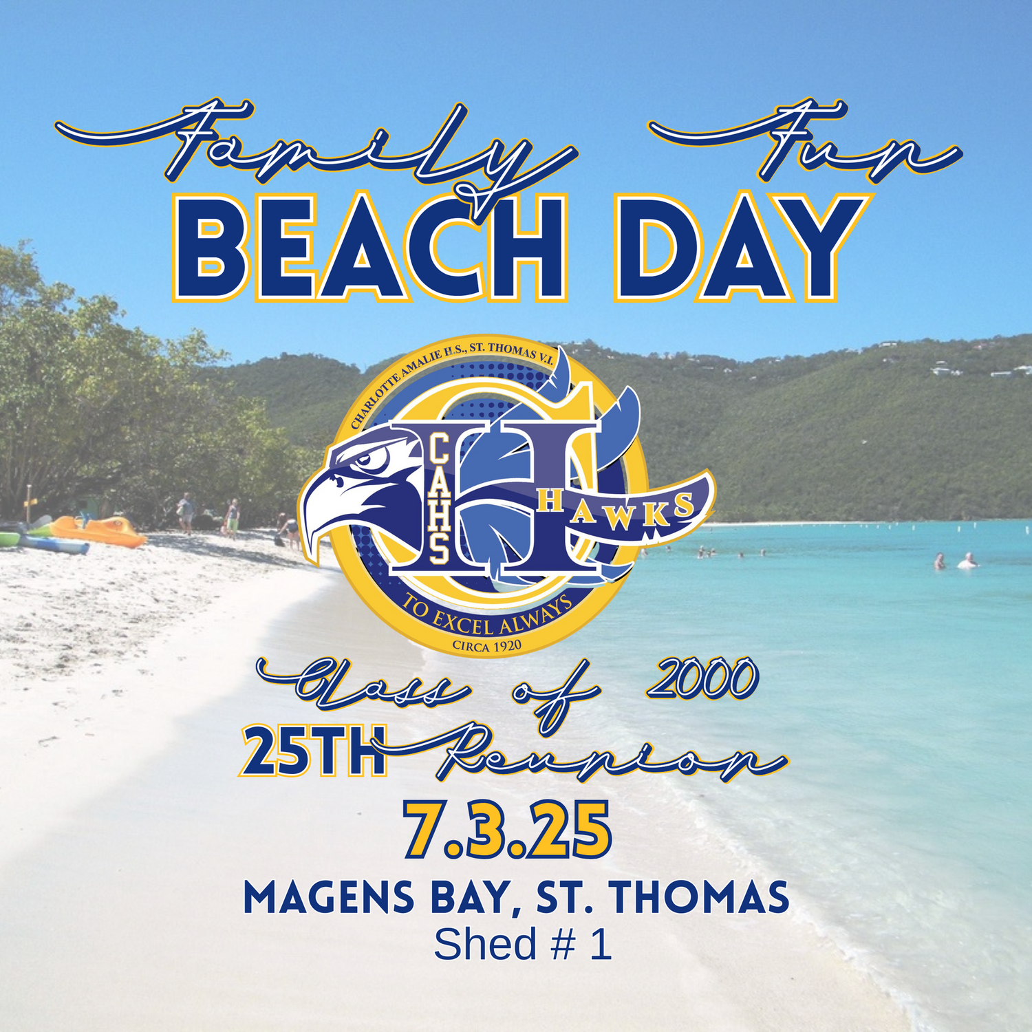 Family Beach Picnic Ticket