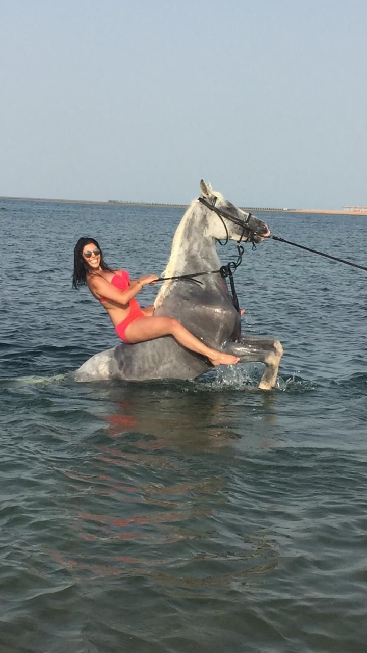 sharm elshiekh: Horse riding adventure on the sea