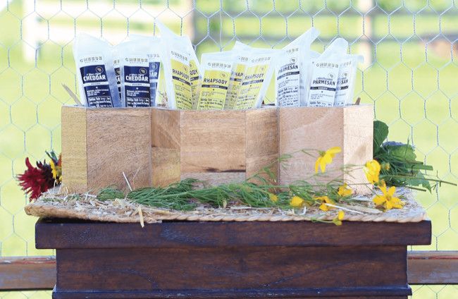 Gourmet Cheese Snack Sticks - 15 Pack Sampler