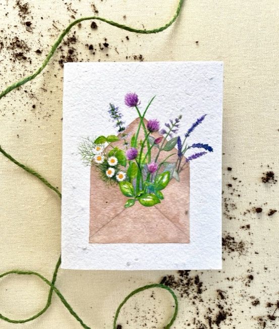 Seed Card Pocketful of Sunshine Herb Mix Plantable Seed Cards White Compostable Cello Sleeves