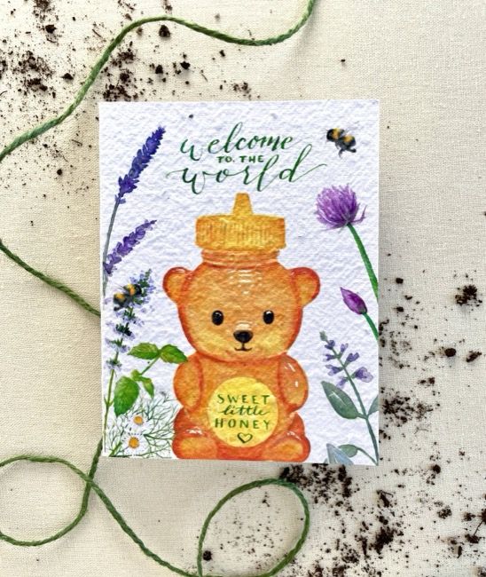 Seed Card Sweet Little Honey Plantable Wellness Mix Seed Card Compostable Cello Sleeves Brown Kraft