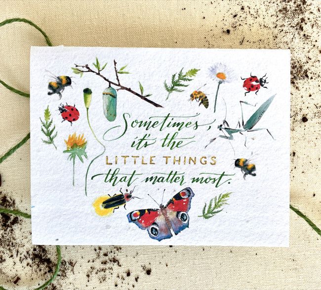 Seed Card The Little Things Plantable Wildflower Seed Card Compostable Cello Sleeves White