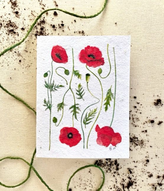 Seed Card Poppy Fields Wildflower Mix Plantable Seed Card Compostable Cello Sleeves White