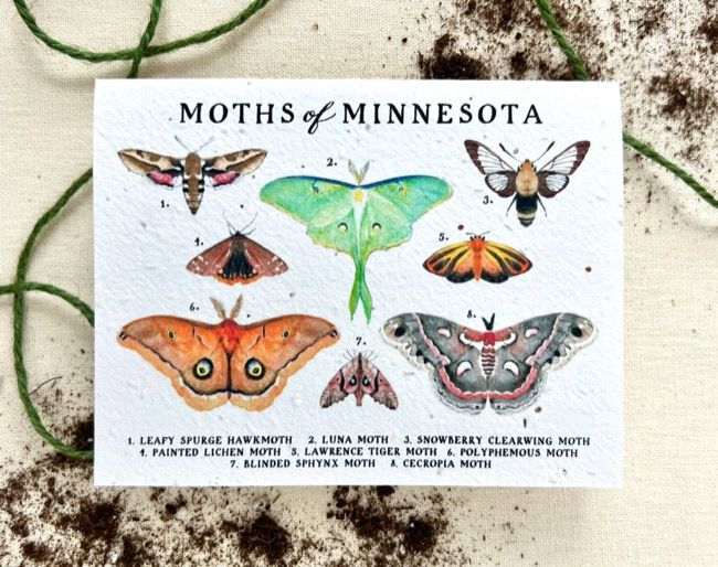 Seed Card &quot;Moths of Minnesota&quot; Wildflower Mix Plantable Seed Card Brown Kraft Compostable Cello Sleeves