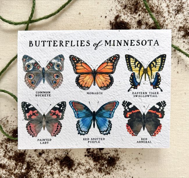 Seed Card Butterflies of Minnesota Plantable Wildflower Seed Card Brown Kraft Compostable Cello Sleeves