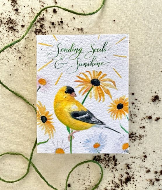 Seed Card Seeds &amp; Sunshine Plantable Wildflower Seed Card Compostable Cello Sleeves White