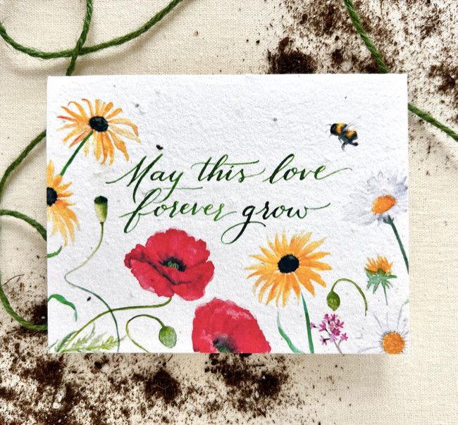 Seed Card Forever Grow Plantable Wildflower Seed Card White Compostable Cello Sleeves