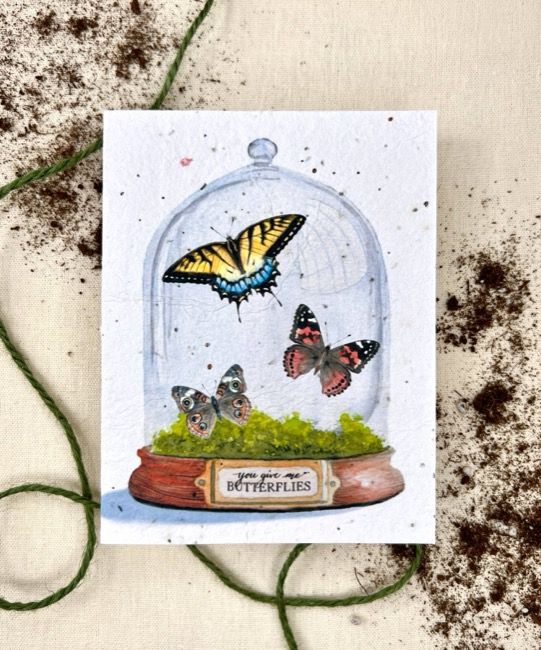 Seed Card &quot;You Give Me Butterflies&quot; Plantable Wildflower Seed Card Compostable Cello Sleeves White