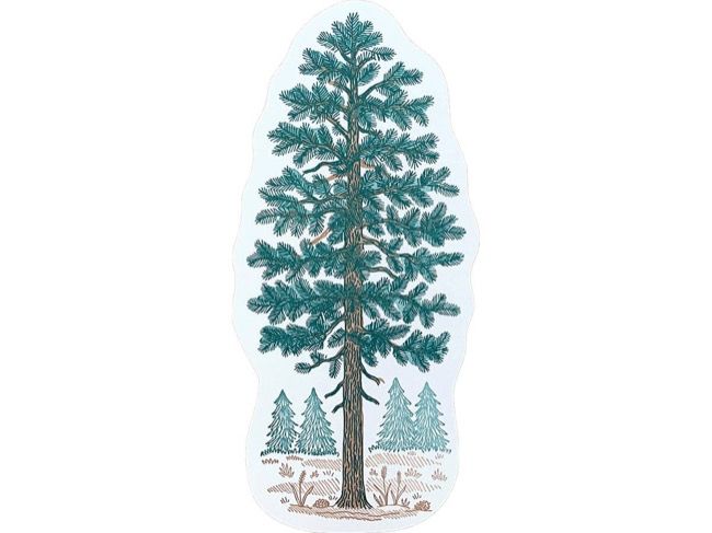 Pine Tree Postcard | Noteworthy Paper &amp; Press
