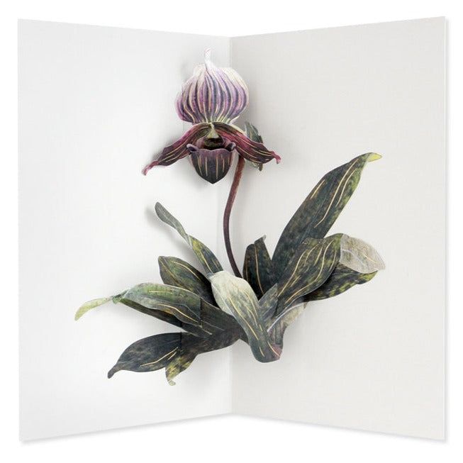 UWP Luxe Lady Slipper Orchid Card