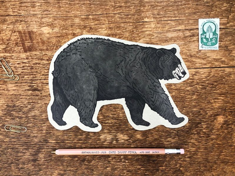 Black Bear Postcard General