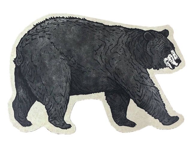 Black Bear Postcard General | Noteworthy Paper &amp; Press