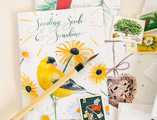 Seed Card Gardening Greetings Plantable Wellness Mix Seed Card Compostable Cello Sleeves White