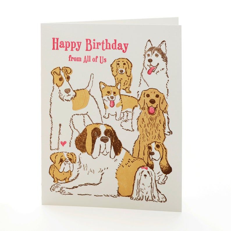 Dogs Birthday Notecard