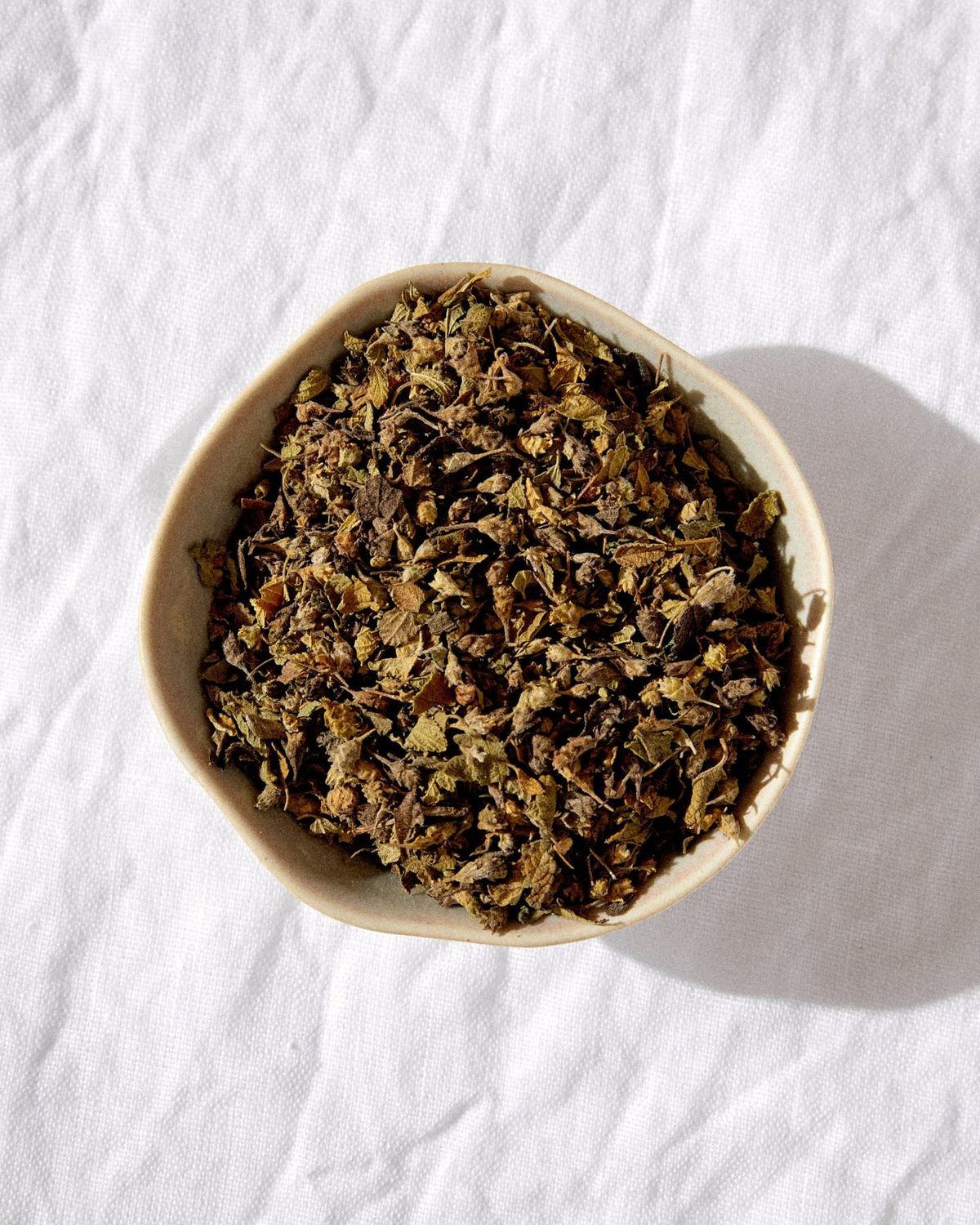 Mexican Oregano