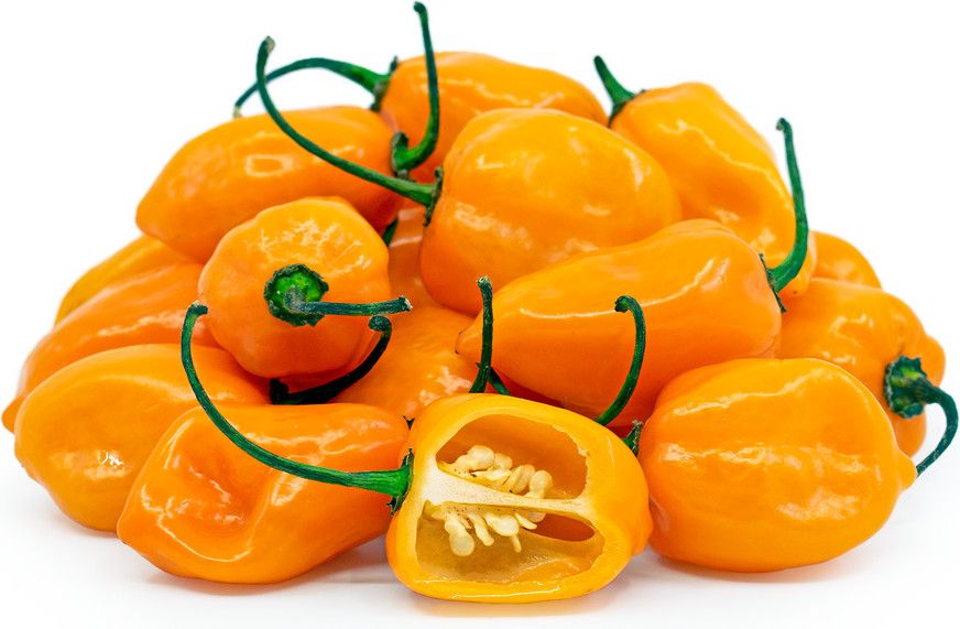 Habanero Chile