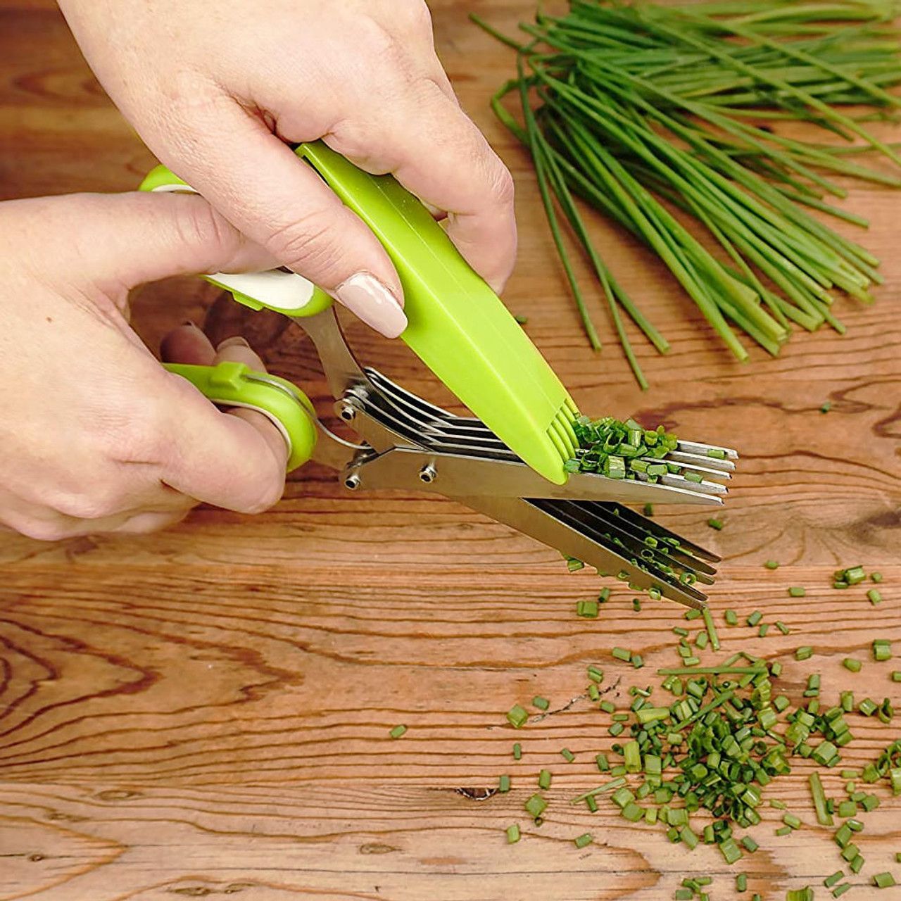 Herb Scissors