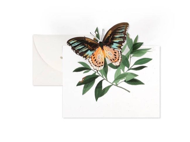 UWP Butterfly Pop-Up Card