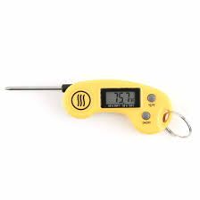 Fun-Sized Thermometer (RT345)
