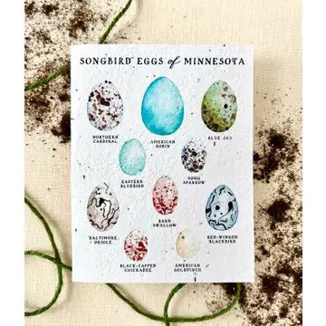 &quot;Songbird Eggs of Minnesota&quot; NATIVE Wildflower Seed Card