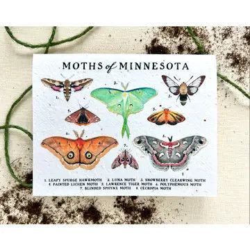 &quot;Moths of Minnesota&quot; NATIVE Wildflower Plantable Seed Card