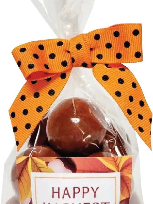 Pumpkin Spice Malt Balls, 6oz in Jack-o-Lantern Bag | Sunflower Food Company