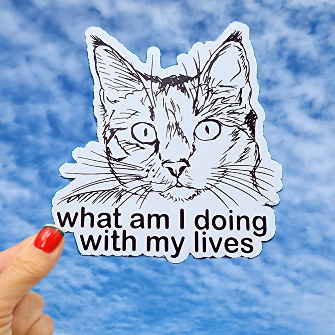 What Am I Doing With My Lives Sticker - cat, kitty, funny