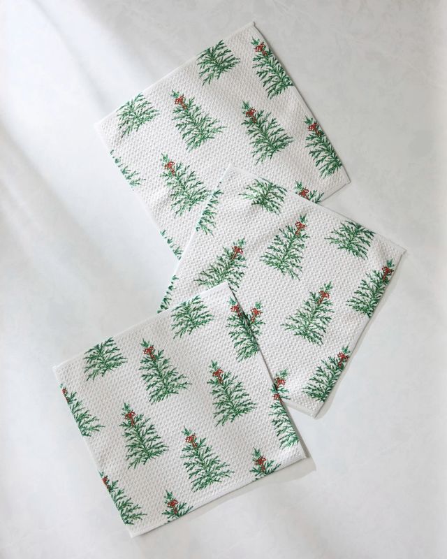 Ellsworth Dishcloth Set | Geometry