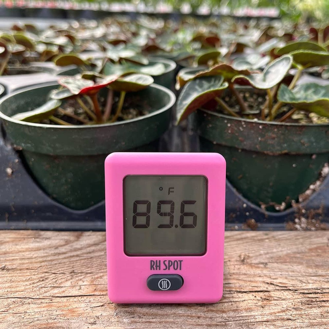 RH SPOT - The Temperature &amp; Humidity Everywhere Thermometer, Pink