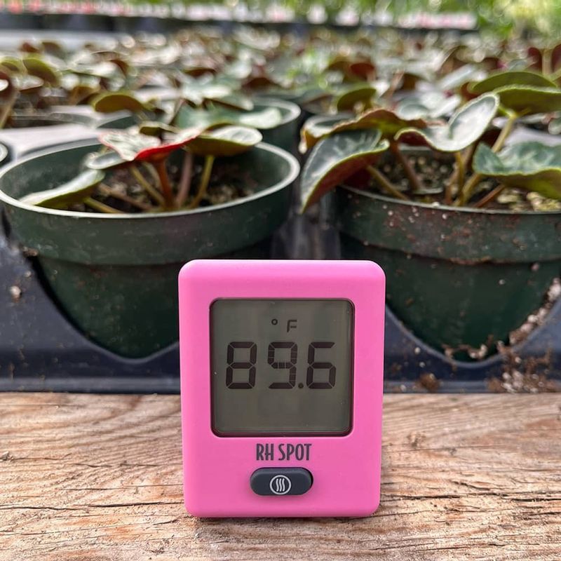 RH SPOT - The Temperature &amp; Humidity Everywhere Thermometer, Pink