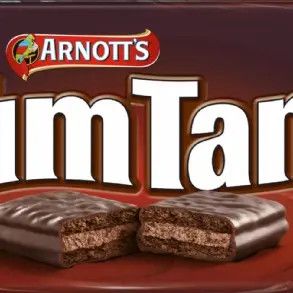 Tim Tam Australian Dark Chocolate Cookie Biscuits 5.75 oz