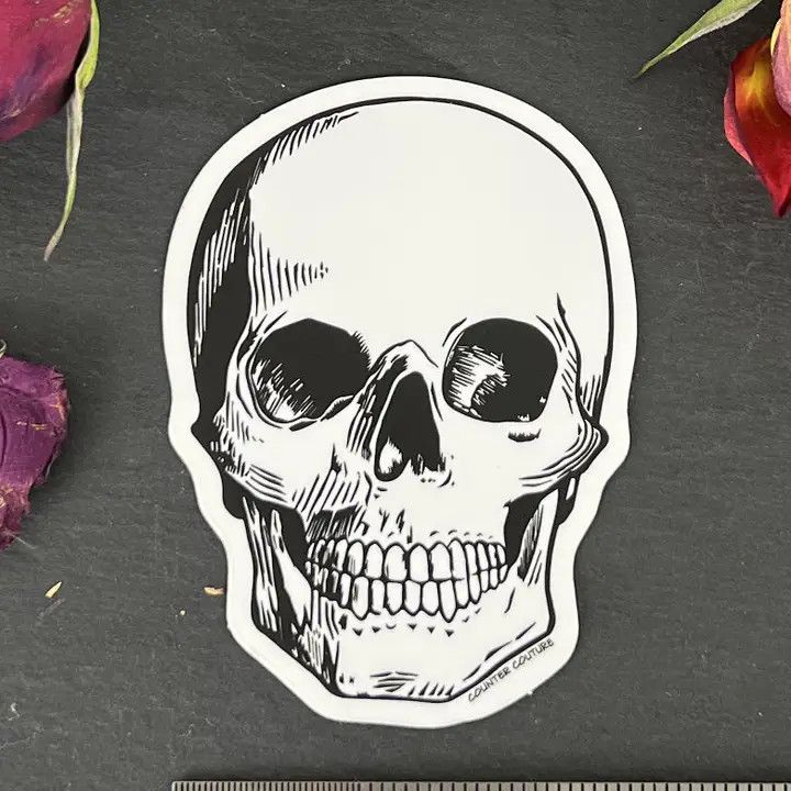 Skull Sticker