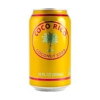 Coconut Soda Drink 12 fl oz