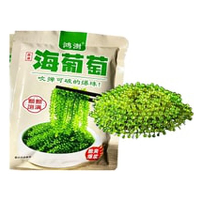 Seaweed Grapes Ready-to-Eat Longevity Vegetable