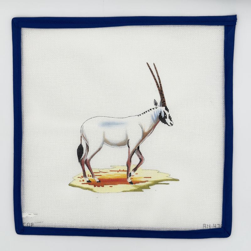 White Oryx