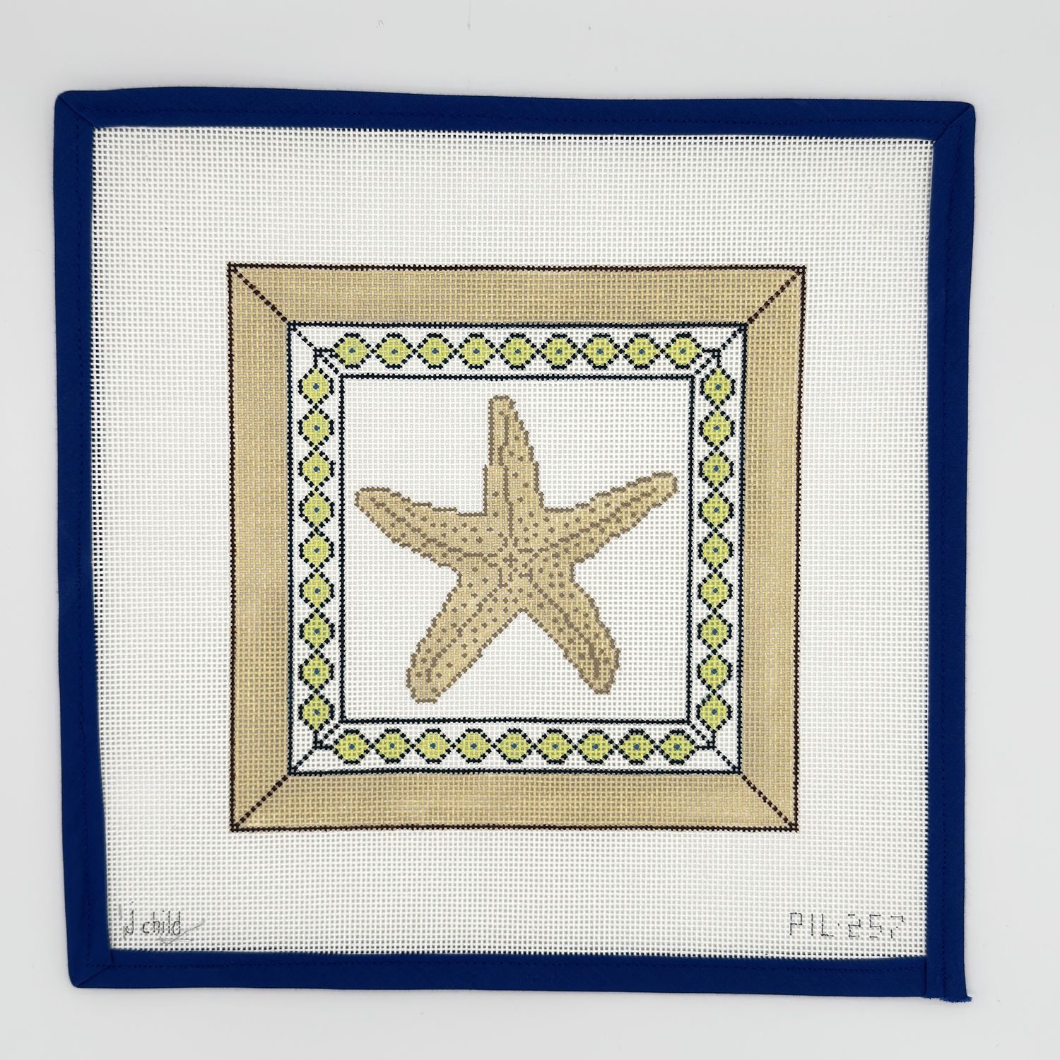 Framed Starfish