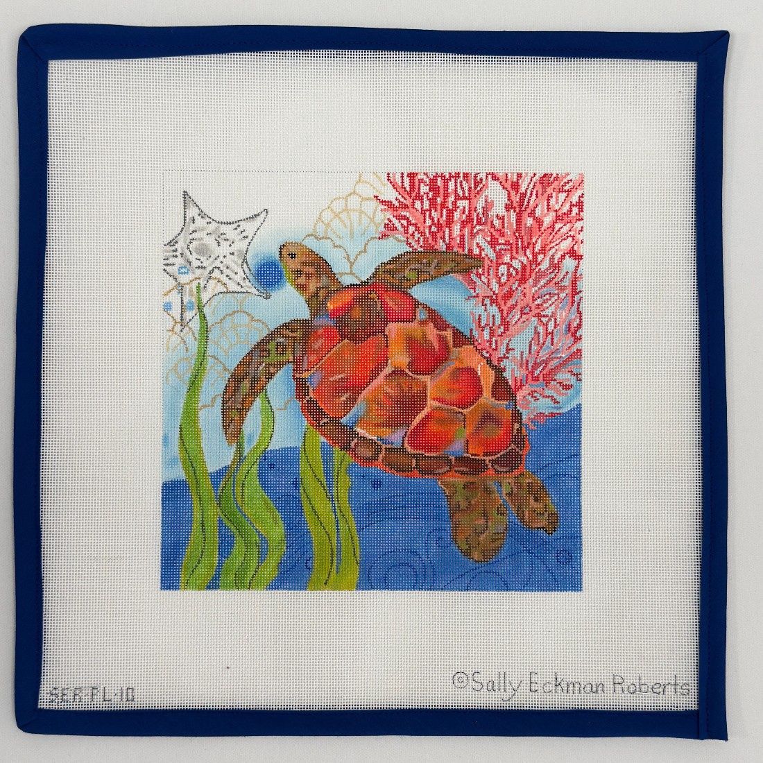 Oceana Turtle w/Coral