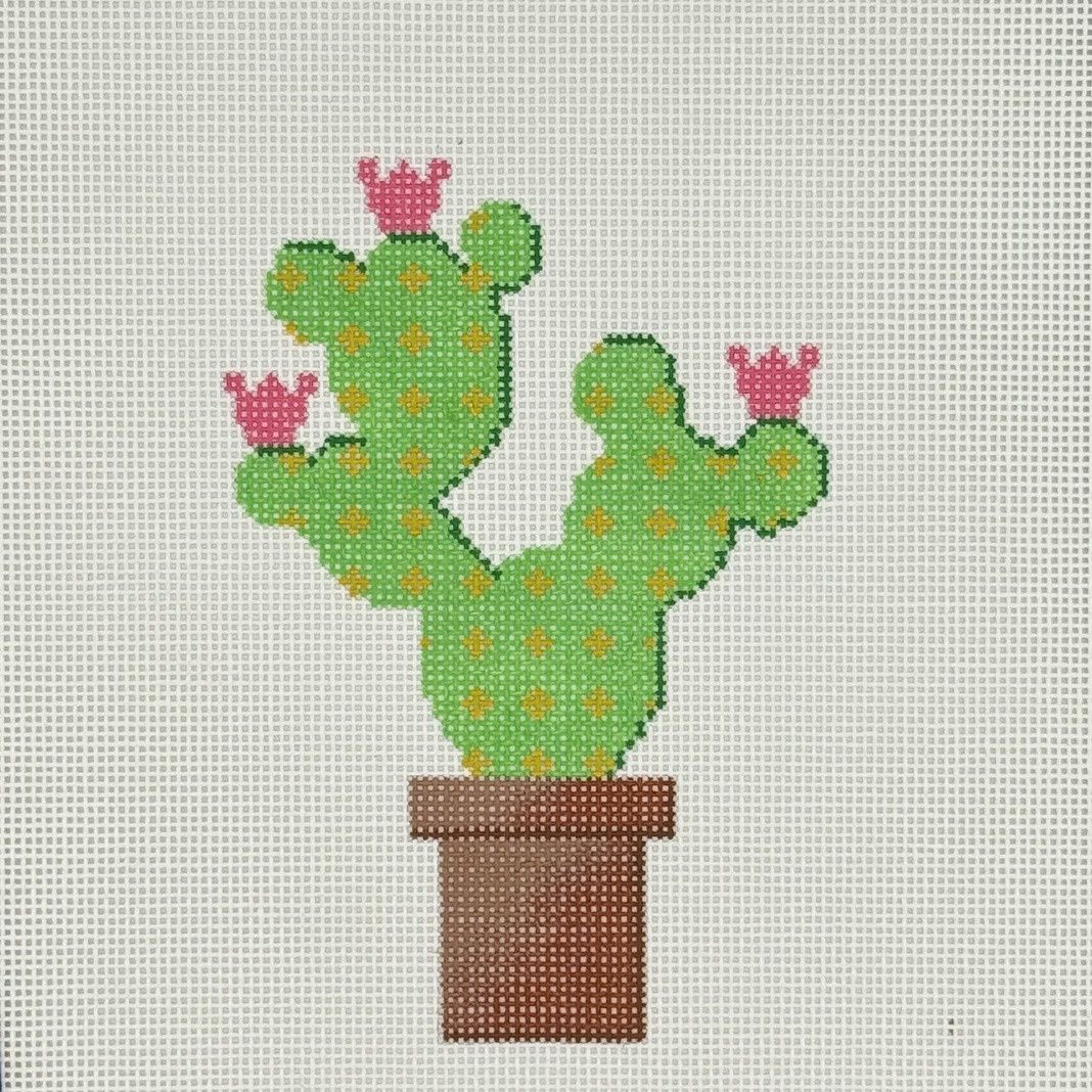 Bunny Eared Cactus