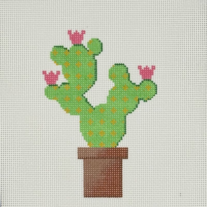 Bunny Eared Cactus