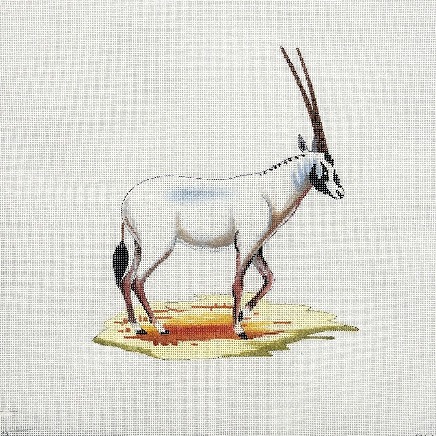 White Oryx