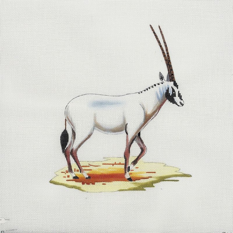 White Oryx