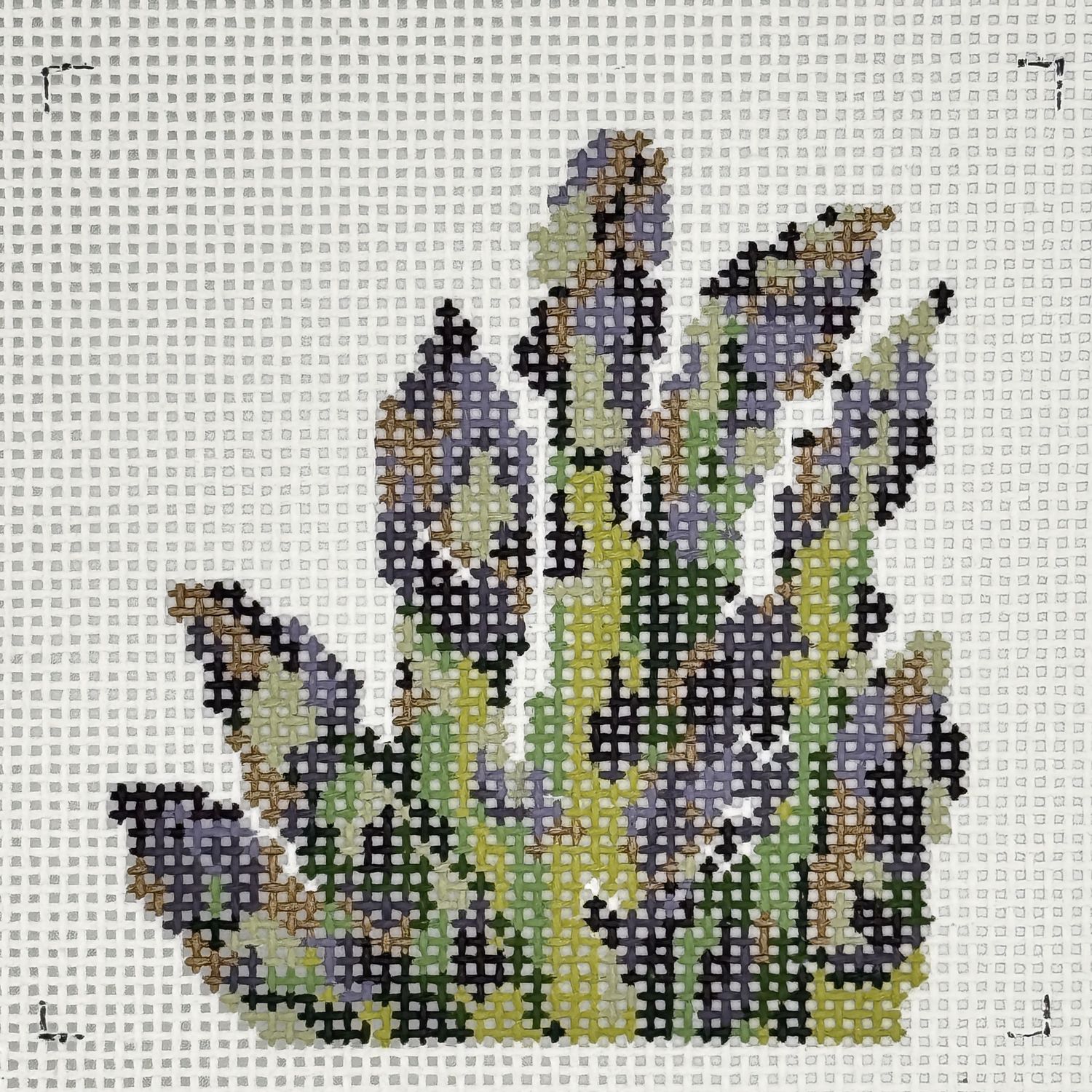 Gilded Garden Aparagus