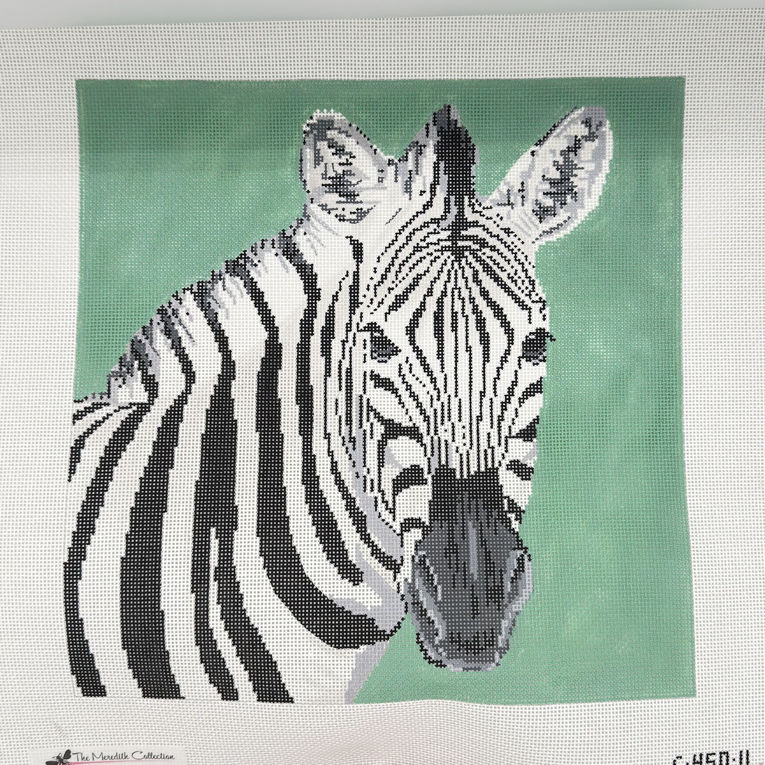 Zebra on Green