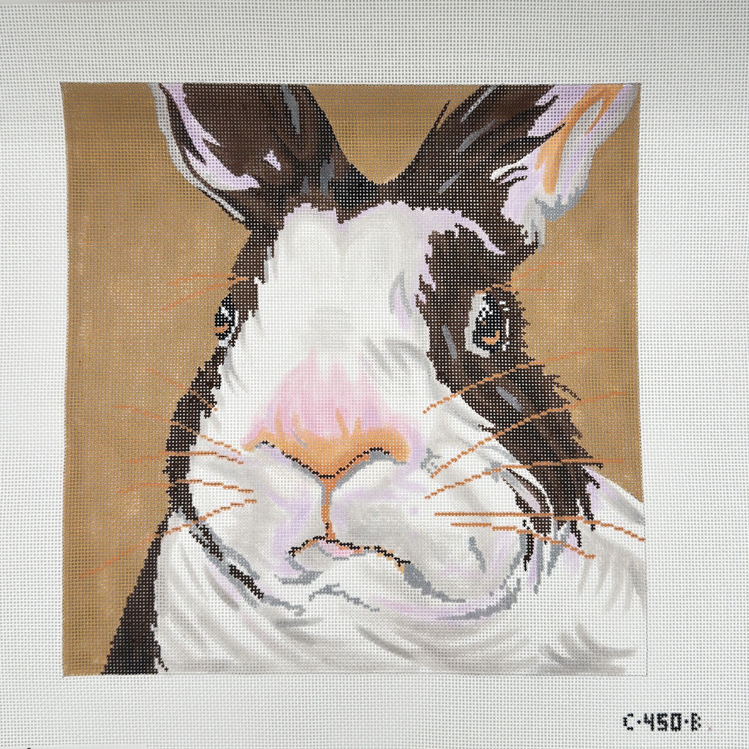 Brown and white Bunny