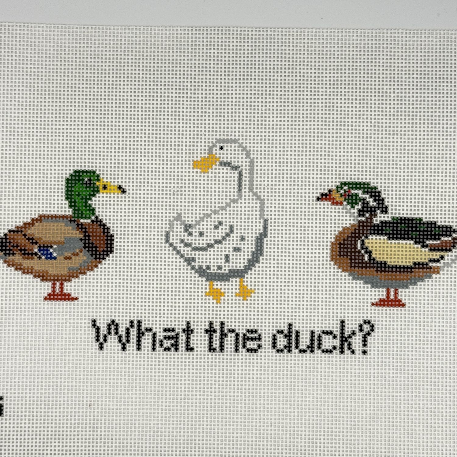 What the Duck?