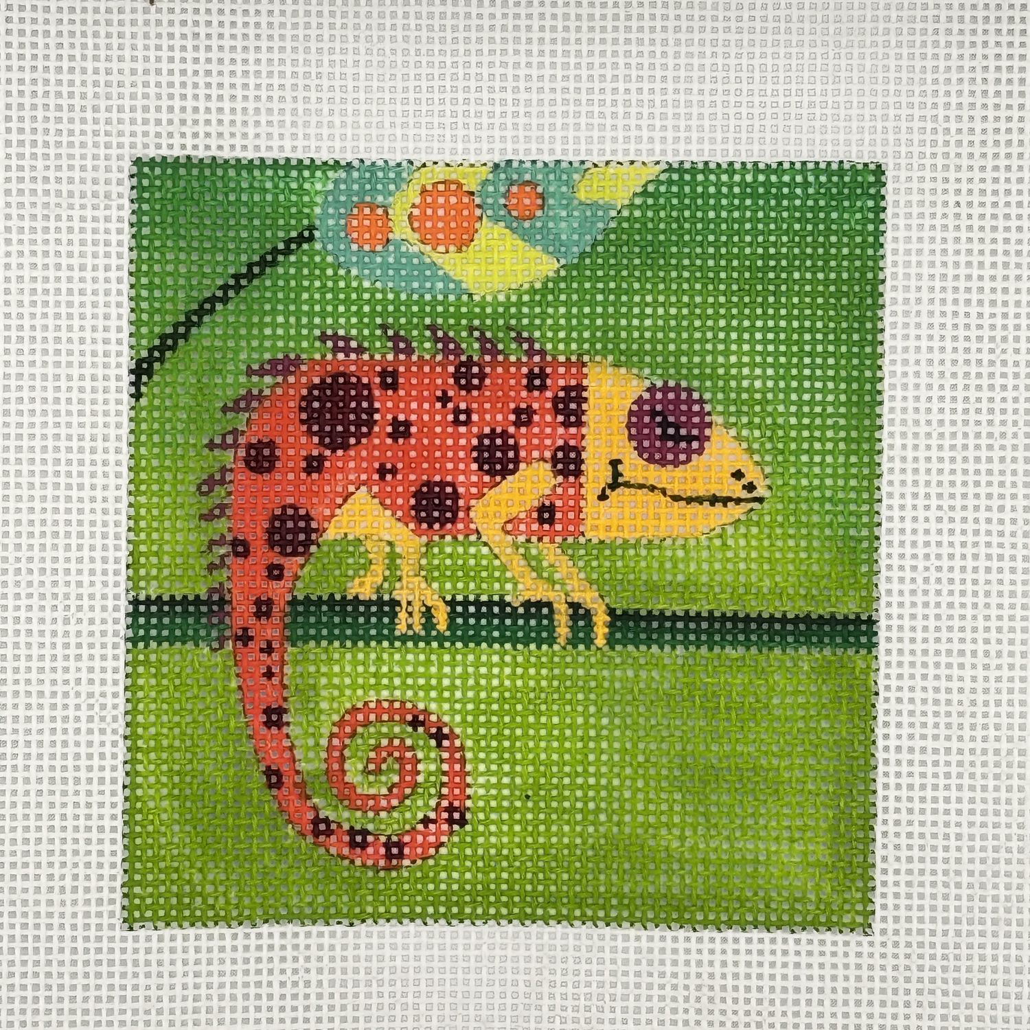 Small Chameleon
